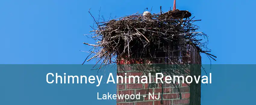 Chimney Animal Removal Lakewood - NJ