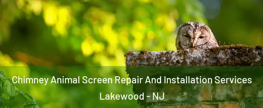  Chimney Animal Screen Repair And Installation Services Lakewood - NJ