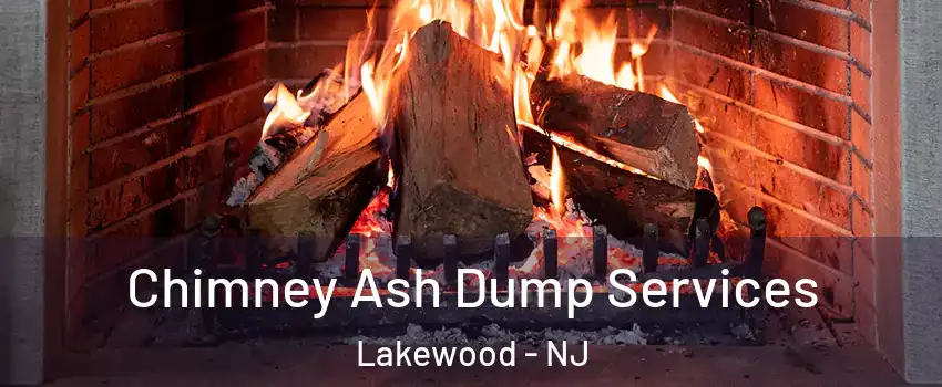 Chimney Ash Dump Services Lakewood - NJ
