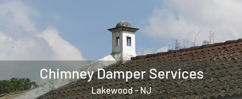  Chimney Damper Services Lakewood - NJ