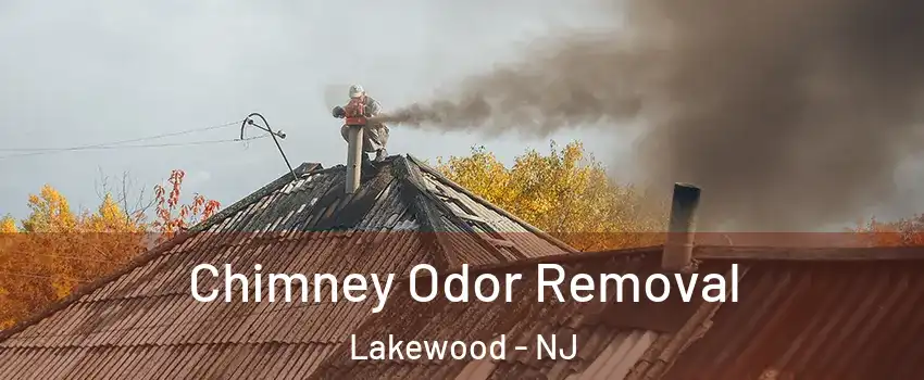  Chimney Odor Removal Lakewood - NJ