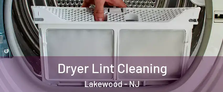  Dryer Lint Cleaning Lakewood - NJ