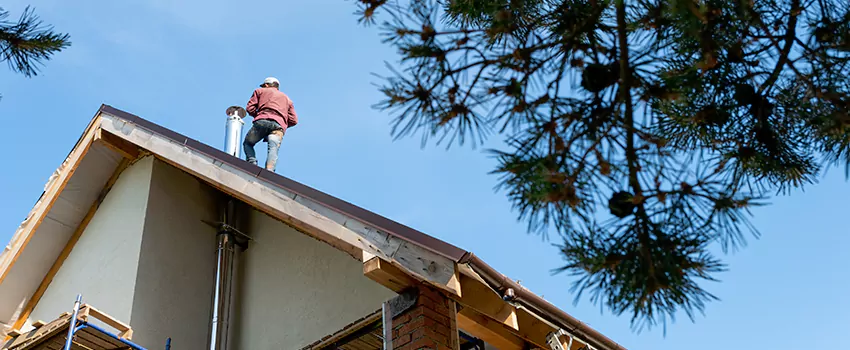 Birds Removal Contractors from Chimney in Lakewood, NJ
