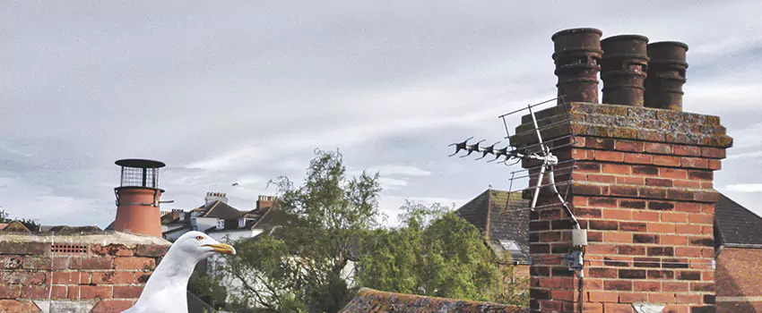 Chimney Cleaning And Restoration in Lakewood, New Jersey