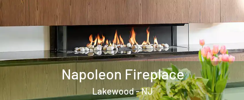  Napoleon Fireplace Lakewood - NJ